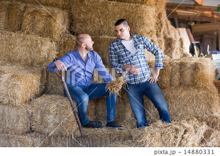 Two farmers working in barn Two farmers working in barn 14880331