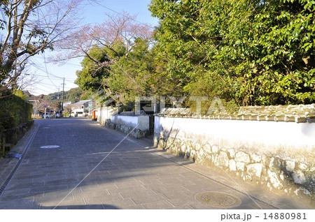 歴史と文学の道 歴史と文学の道 14880981
