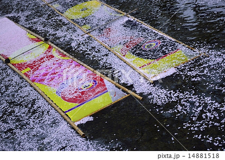 花筏と鯉のぼりの寒晒し（岩倉市五条川） 14881518