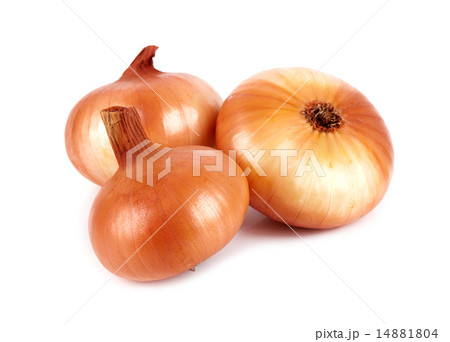 onion onion 14881804