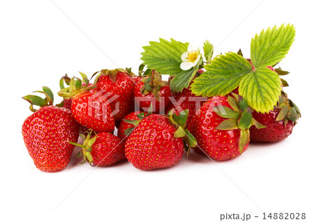 Strawberries Strawberries 14882028