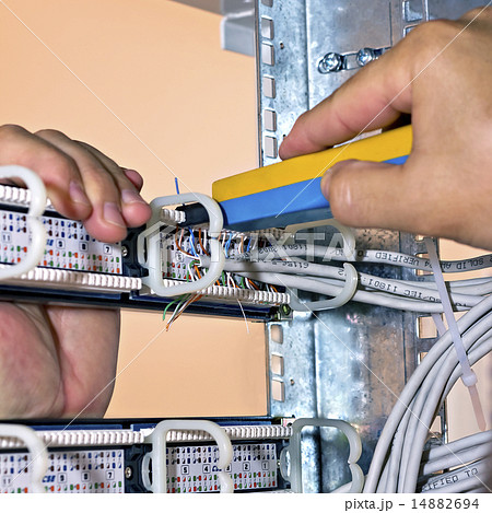 assembly network patch panels, rear view 14882694