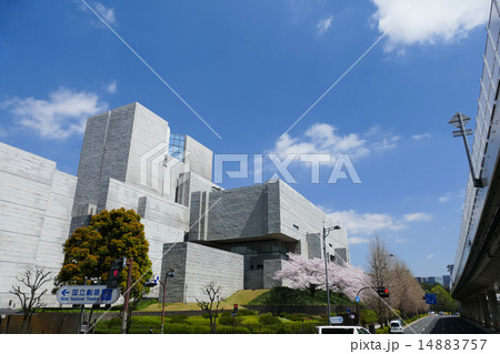 最高裁判所と満開の桜　青空 14883757