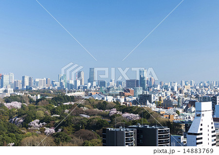 東京都市風景　新宿高層ビルから望む東京全景　春 14883769