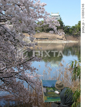 名城公園 14884246