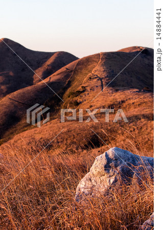 夜明けの平尾台 夜明けの平尾台 14884441