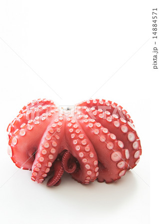 蒸したこ 14884571