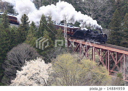 春の秩父鉄道SL 春の秩父鉄道SL 14884959