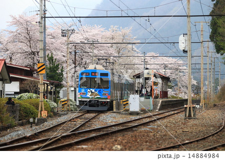 春の秩父鉄道 14884984