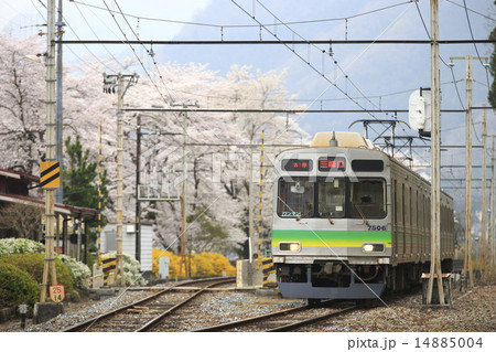 春の秩父鉄道 14885004