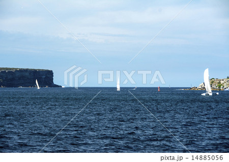 シドニー湾　世界三大美港 14885056
