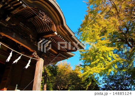 秋の御霊神社 14885124