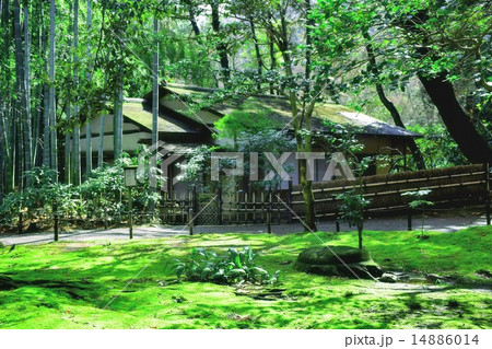 静寂に包まれて 14886014