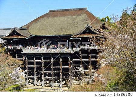 春の清水寺 春の清水寺 14886206