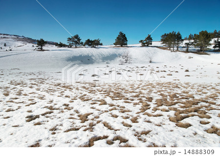 Winter trees in the mountains. Winter trees in the mountains. 14888309