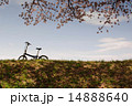 ちょっと休憩 14888640