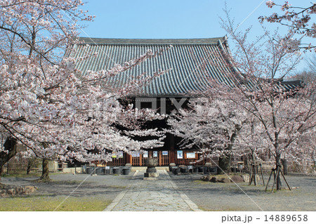 京都　立本寺　本堂 14889658
