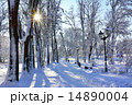Winter Park 14890004
