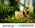 Deforestation 14890008