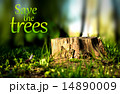 Deforestation 14890009