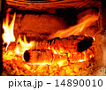 Wood Burning 14890010