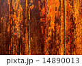 Yellow Orange wood Texture 14890013