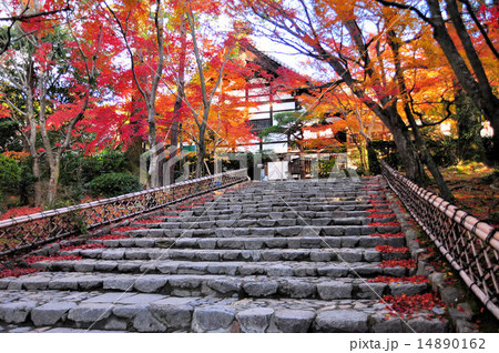 秋の龍安寺 14890162