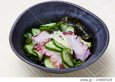 蛸酢 14890529