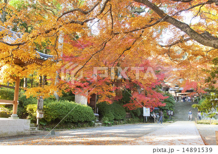 大興善寺 14891539