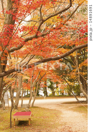 覚苑寺 覚苑寺 14891691