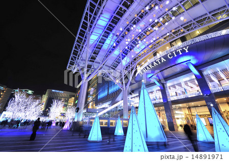 イルミネーション イルミネーション 14891971