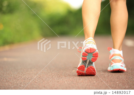 young fitness woman legs running at forest trail 14892017