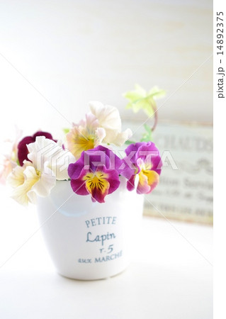 フリルのパンジーを飾って 14892375