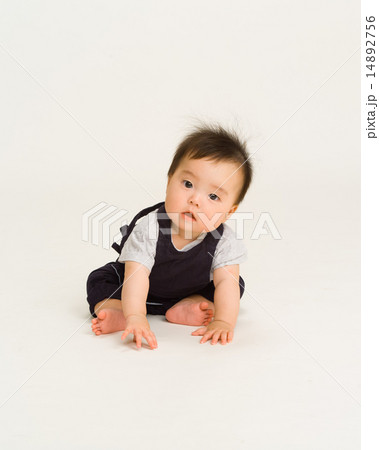 腹掛けの赤ちゃん 腹掛けの赤ちゃん 14892756
