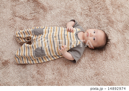 2 months old 2 months old 14892974