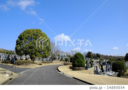 お墓 墓地 霊園 お墓 墓地 霊園 14893034