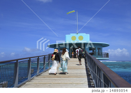 グアム　海中展望塔 14893054