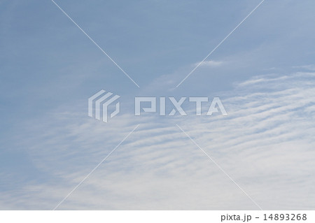 空 14893268