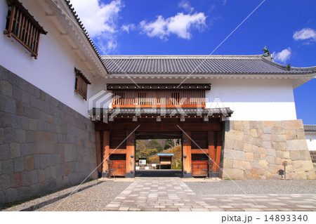 3月静岡 駿府城・東御門 14893340