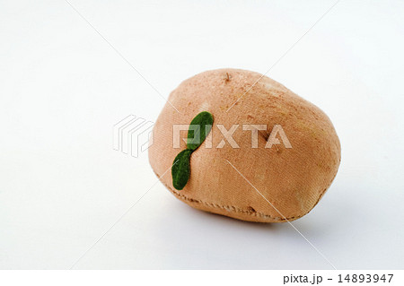 模造品の野菜 14893947