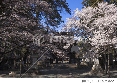 甲州市の恵林寺 14894022