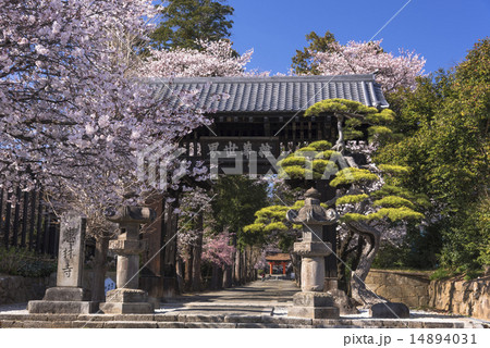 甲州市の恵林寺 14894031