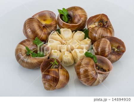 Escargot Escargot 14894910