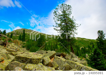 A beutiful landscape in the mountains 14895091