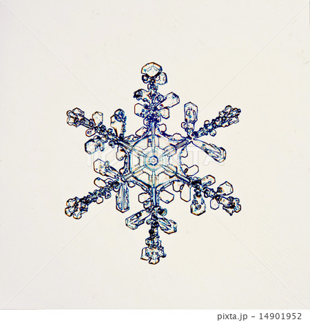 natural crystal snowflake macro 14901952