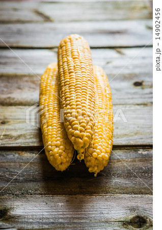 Sweet corn on rustic background Sweet corn on rustic background 14902456