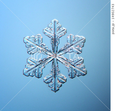 natural crystal snowflake macro 14902743