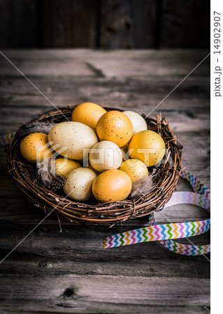 Easter Eggs Easter Eggs 14902907