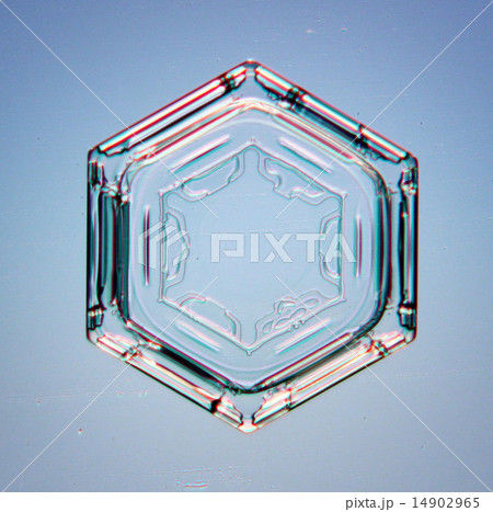 natural snowflake macro 14902965