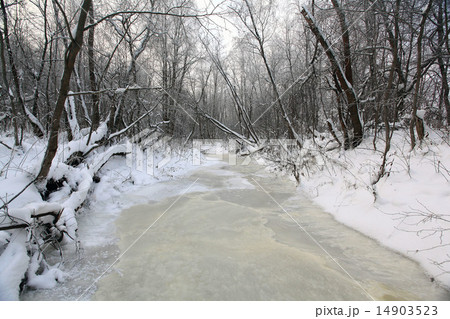 cold winter forest landscape snow 14903523